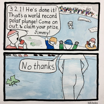 Polar Bear Plunge