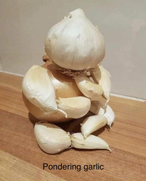 Pondering Garlic