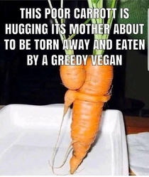 Poor carrott 