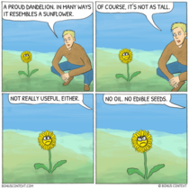 Poor dandelion