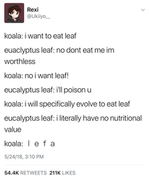 Poor eucalyptus leaf