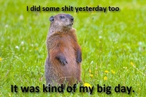 Poor Groundhog