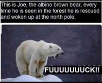 Poor Joe
