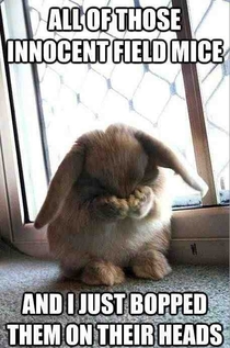 Poor little bunny foo foo