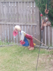 Poor scarecrow