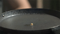 Popping popcorn in slow motion