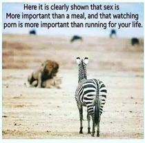 Porn is important for living