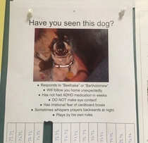 Posted on every cork board around my university Have you seen him