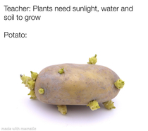 Potato po-tah-to