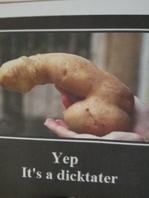 Potatoes that make me feel inadequate 