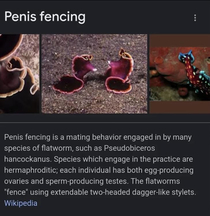 PP fencing worms
