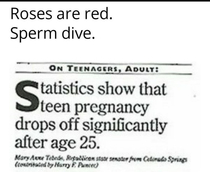 Pregnancy statistics in a nutshell