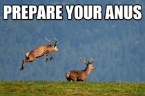 Prepare your anus