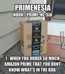Prime-nesia