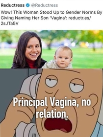 Principal Vagina