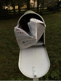 Priority Mail if it fits it ships 