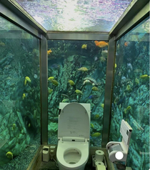 Privacy breach level Nemo