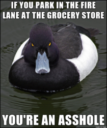 Probably same people who go through express checkout with a full grocery cart
