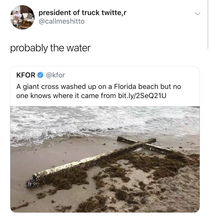 Probably the water
