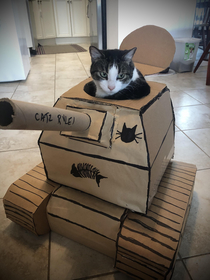 Procrastinating from cleaning-made a cat tank