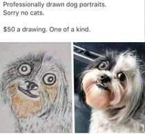 Professional portraits