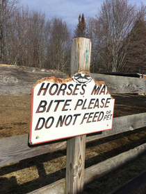 Proof horses may bite