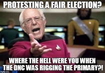 Protesting a Fair Election