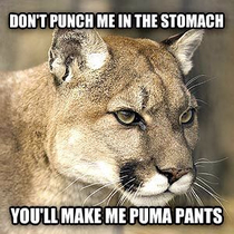 Puma Puns