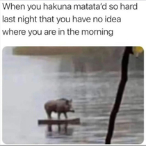 Pumba took Hakuna Matata a bit too seriously