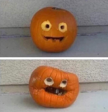 Pumpkins Age Like Meth Heads