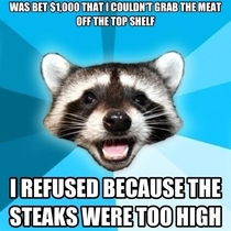 Pun Raccoon