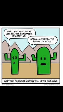Punny Cactuses