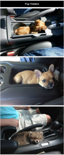 Pup Holders