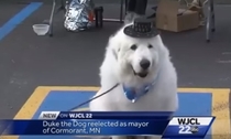 Pupular mayor elected fur the third time