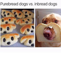 Pure bread vs inbread
