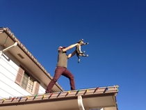 Putting up the Christmas lights and the cat jumped on the roof so he started singing The Circle of Life
