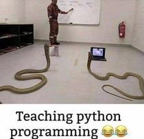 Python lessons