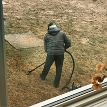 Quarantine day  - my Dad vacuuming the yard