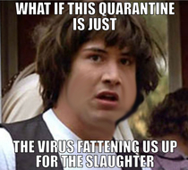 Quarantine Keanu