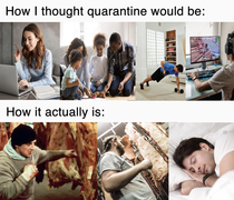 Quarantine reality