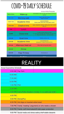 Quarantine Schedule 