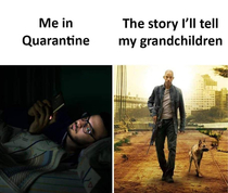 Quarantine Story