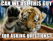 Question Cub
