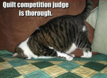 Quilt competition judge