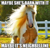 Quit horsing around