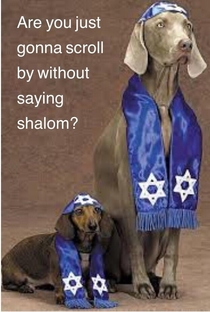 Rabbid Dogs