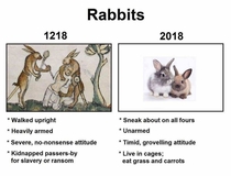 Rabbits then vs now