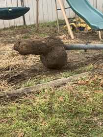 raccidentalpenis while pulling fence posts out