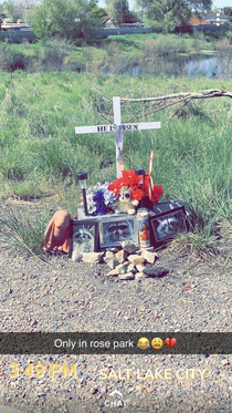 Raccoon memorial in my neighborhood