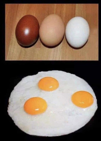 Racism for dummies